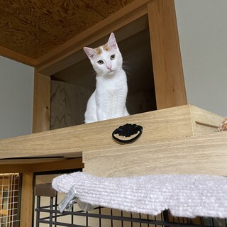 ちょぴりビビりだけどたくましい男の子