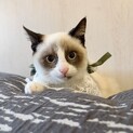 おちゃめなパンダ顔♡まきちゃん♡