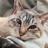 おっとり膝のりベタベタ甘えん坊♡ノエル君 サムネイル5