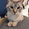 おっとり膝のりベタベタ甘えん坊♡ノエル君 サムネイル6
