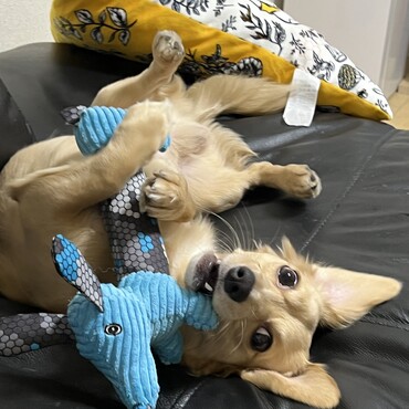 の写真
