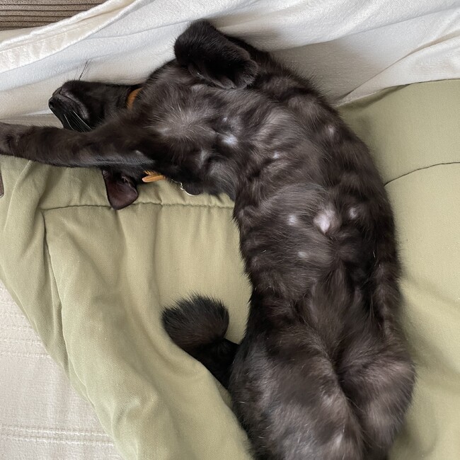 まなみ113oのカバー写真