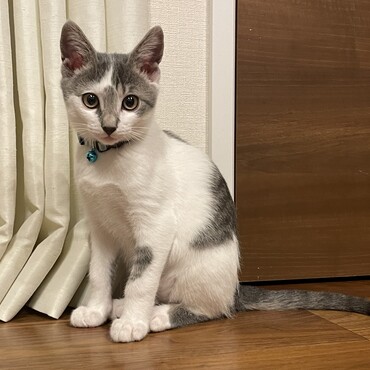 の写真