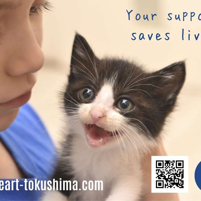 NPO法人HEARTのカバー写真