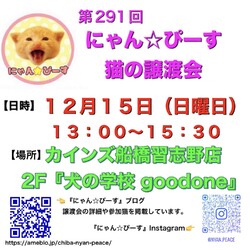 にゃん☆ぴーす猫の譲渡会【カインズ船橋習志野店2F『犬の学校goodone』】