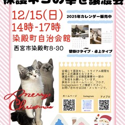 もふもふ西宮　保護ネコの幸せ譲渡会