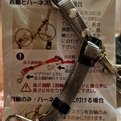 ダブルナスカン届いたよ