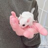 大切に最期まで育ててくださる方を希望致します。 サムネイル3