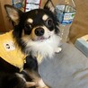 ちさと422