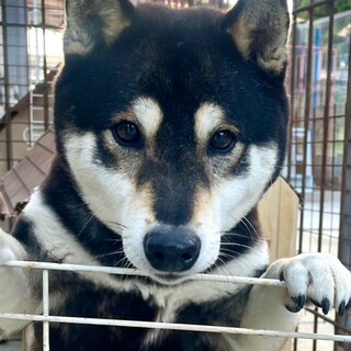 24-W260 めちゃめちゃ良い子♪