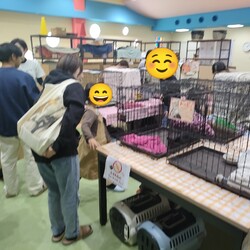 保護猫のお見合い会 サムネイル2