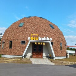 保護猫のお見合い会 サムネイル3