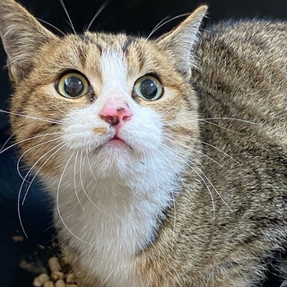 ４ヶ月くらいの男の子　ドゥーズ