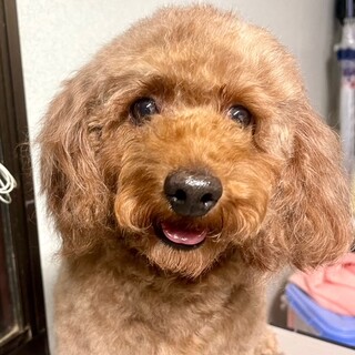 24-M265　良い子過ぎです～～～～♪