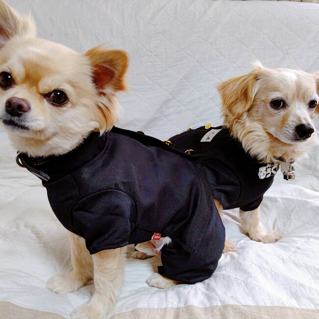 るぅく.蓮のカバー写真