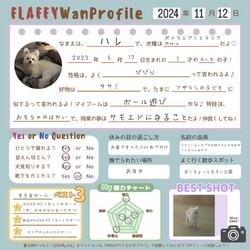 犬のプロフィール帳