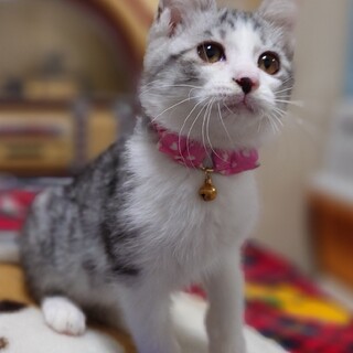 綾瀬はるか似‼️タレ目が可愛いあやせちゃん♥️