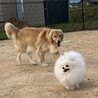 の写真