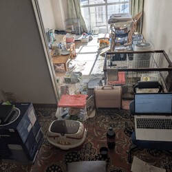 「とろろさん近況(12 月)」サムネイル2