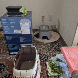 「とろろさん近況(12 月)」サムネイル3