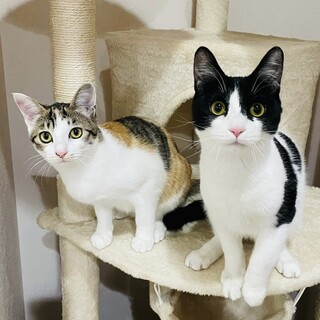 【12/22新橋】布団の中に入ってくる甘えん坊✦