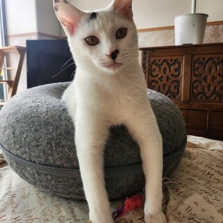 塩顔の貴公子ひかるくん