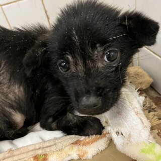 緊急！12月18日朝9時（時間厳守）