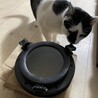 航太朗にちなんで付けたい、ポートホールが届いたよ。カッコいい⭐︎こんなん猫のためだけに買うのウチくらいだろうw