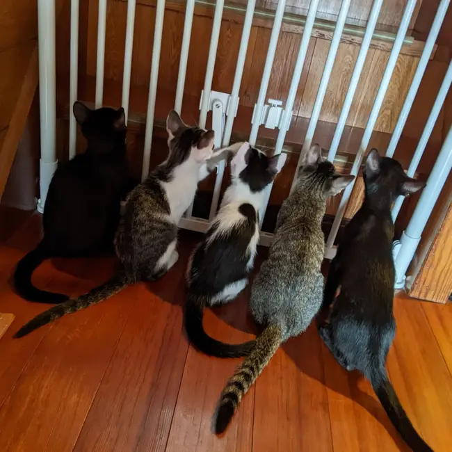 minaminamiktrのカバー写真