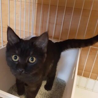 〝くろ君〟です♪