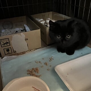 〝はーちゃん〟です♪