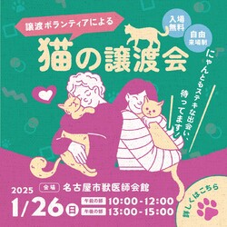 猫の譲渡会☆大須商店街近く