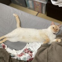 ミルク