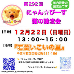 にゃん☆ぴーす猫の譲渡会【若葉いこいの里】千葉市若葉区若松町(みつわ台総合病院近く)