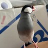 新居で手元を離れず警戒中