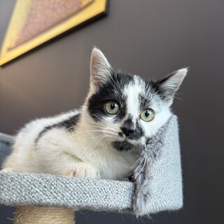 おっとり系でむっちり体型︎︎❤︎しらべ君3ヶ月