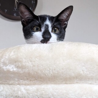 大人しいおっとりとしたかわいい女の子です♡