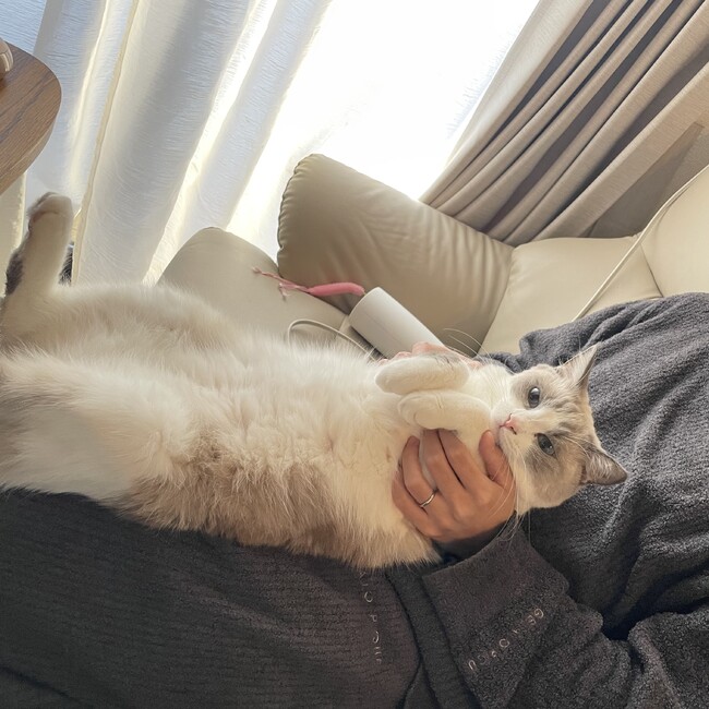 あおうみ1のカバー写真