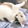 ミキオ