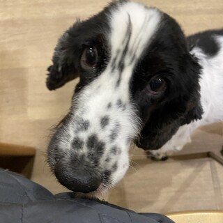 まだまだ元気！