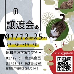 猫の譲渡会　in　名古屋市昭和生涯学習センター