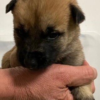 緊急！12月25日　AM9時　時間厳守