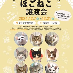 ほごねこ譲渡会　〜愛すべき野良猫の会〜