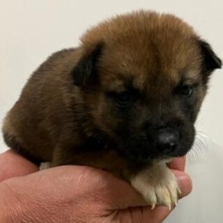 緊急！12月25日　AM9時　時間厳守