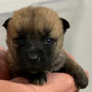 緊急！12月25日　AM9時　時間厳守