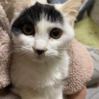 前髪が可愛い????なぎちゃん4ヶ月