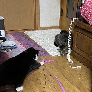 いつも控えめな２匹( T_T)＼(^-^ )
