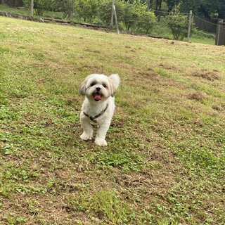 ありがとうございました。