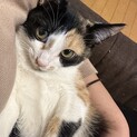 抱っこ