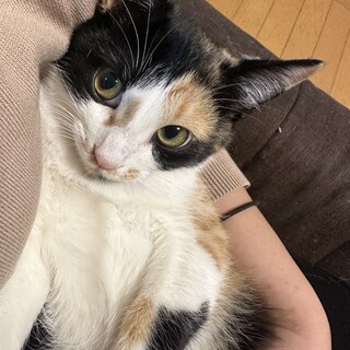 抱っこ